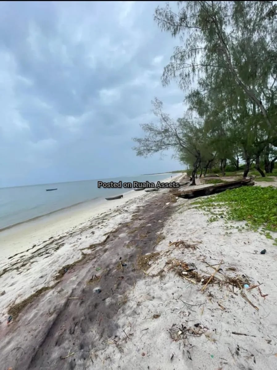 Beach Plot for Sale at Mapinga, Dar es Salaam image 2