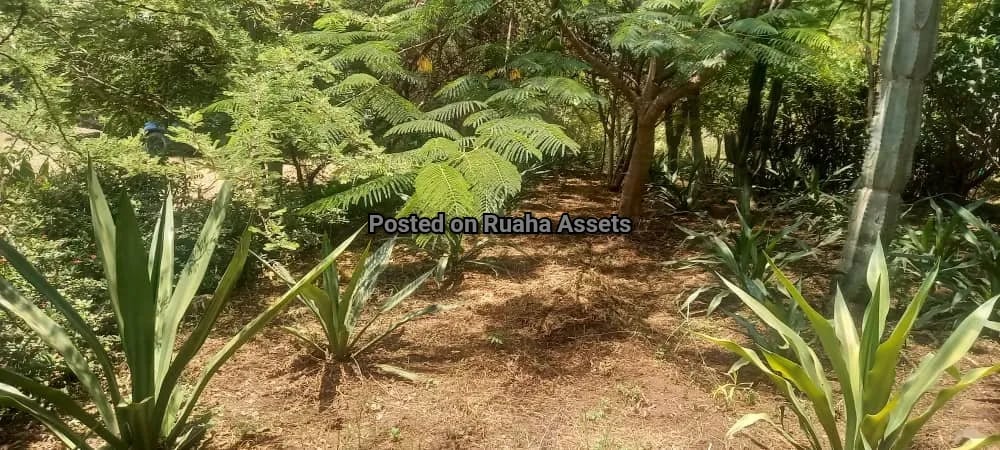 Big Plot with a House for Sale Njiro Arusha image 12