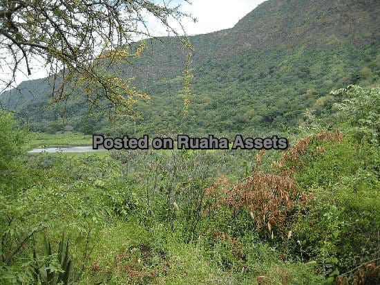 Land ideal for Tourist Hotel in Manyara for Sale image 3