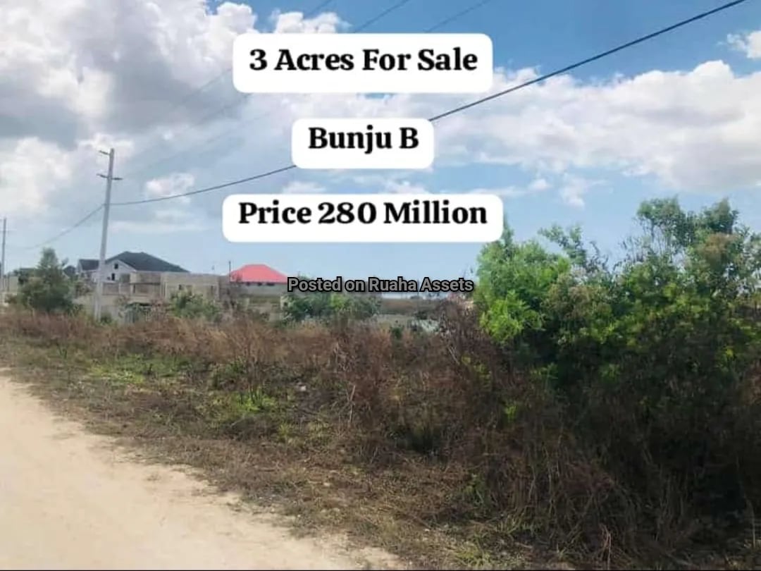 3 Acres for Sale at Bunju B image 2
