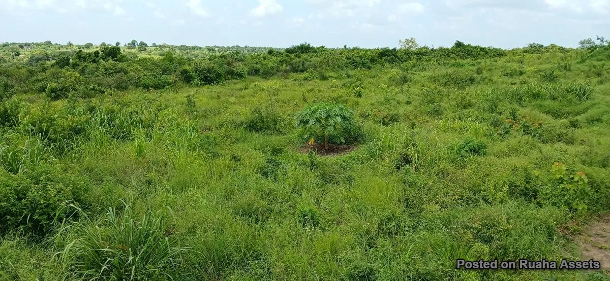 10 acres for sale at Kibaha image 3