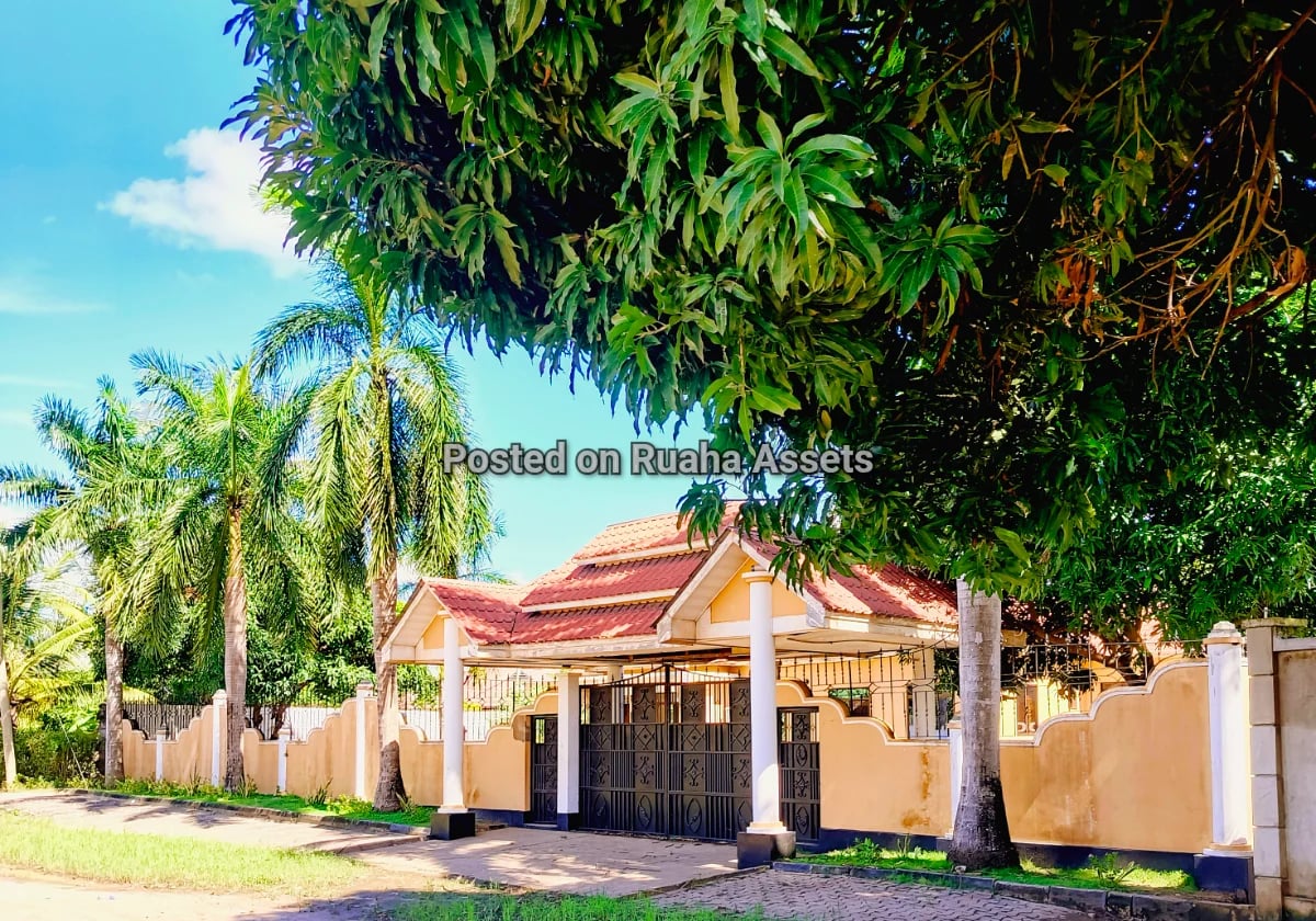 Three Modern Houses in one plot image 1