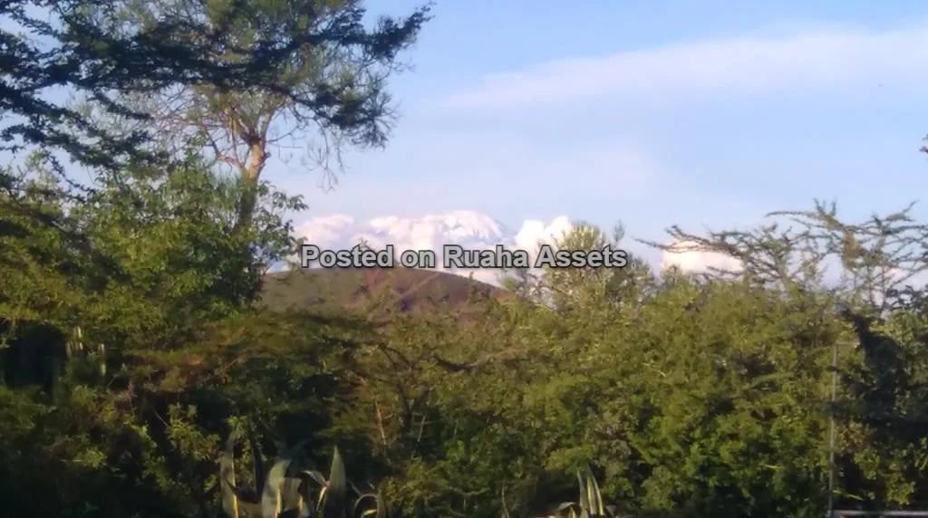 Commercial Property with Company Title Deed for sale in Arusha image 2