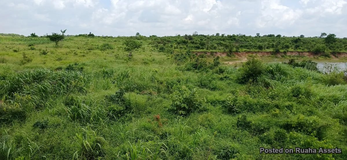 10 acres for sale at Kibaha image 4