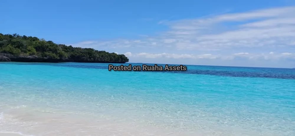 14 acres Beach Plot for Sale in Zanzibar image 5
