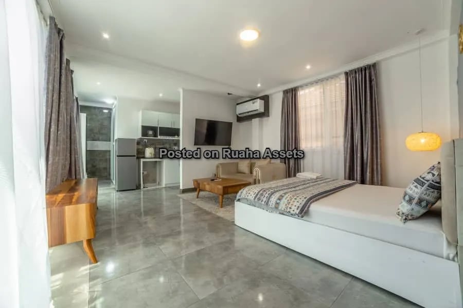 Fully Furnished 1 Bedroom Apartment for Lease at Kinondoni image 8