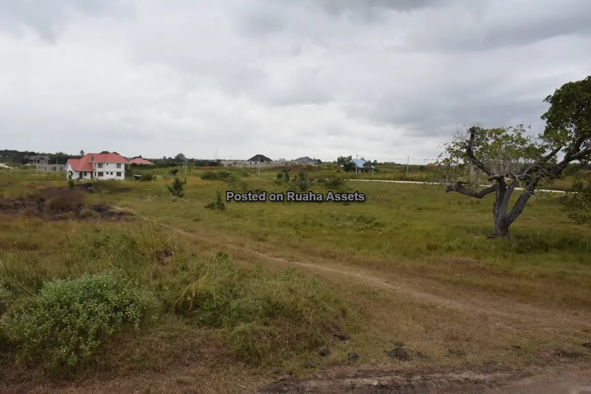 Viwanja Vikubwa Vinauzwa Mabwepande image 3