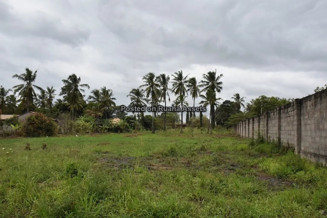 Kiwanja Kikubwa Kinauzwa Mabwepande image 10