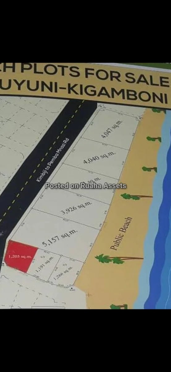 Beachplots for sale at Buyuni Kigamboni image 2