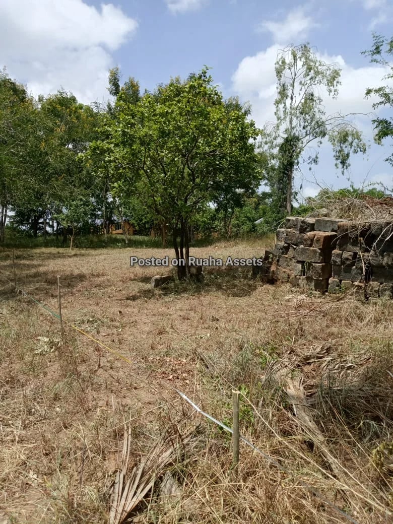 Cornerplot for Sale at Kimara Suka image 2