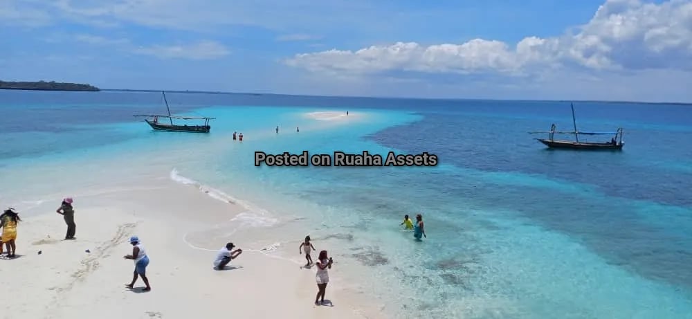 14 acres Beach Plot for Sale in Zanzibar image 6