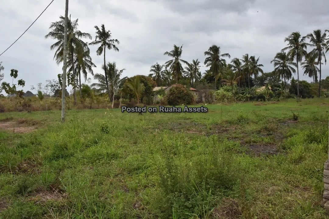 Kiwanja Kikubwa Kinauzwa Mabwepande image 9