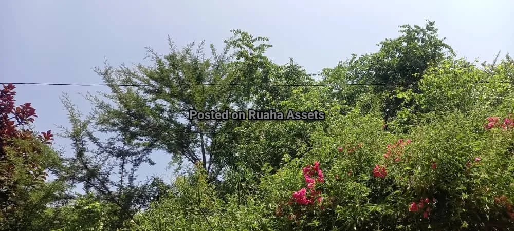 Big Plot with a House for Sale Njiro Arusha image 18