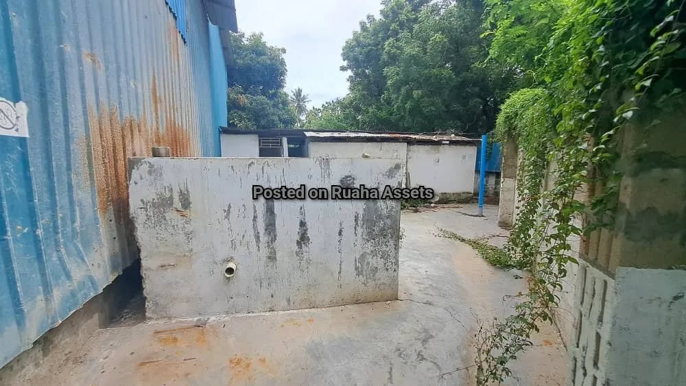 Godown to Let at Salasala image 9