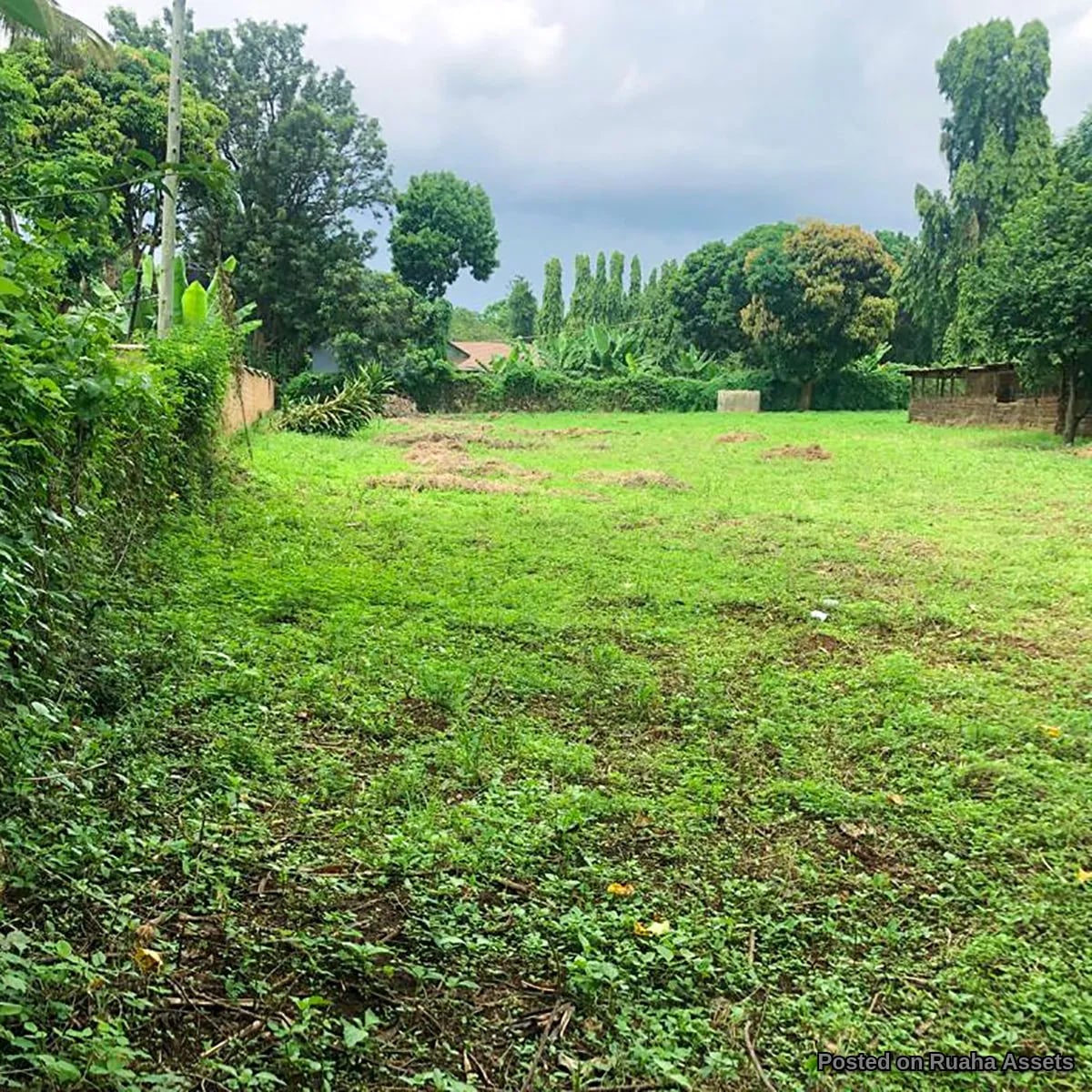 PRIME SHANTY TOWN FARM LAND FOR SALE image 5