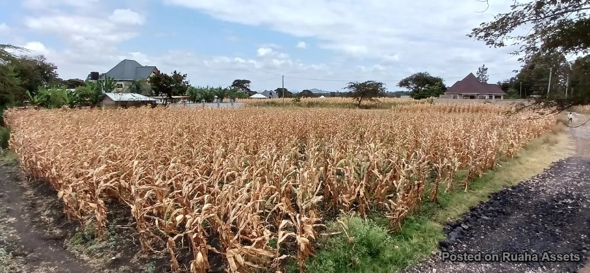 Half acre plot for sale at Njiro, Arusha. image 7