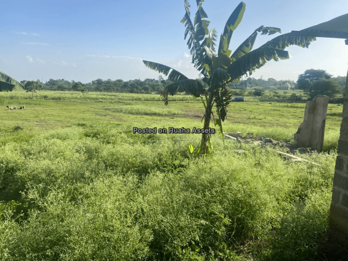 Shamba la Heka mbili, Nelson Mandela University Arusha image 4