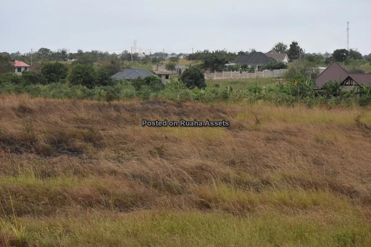 Viwanja Vikubwa Vinauzwa Mabwepande image 2