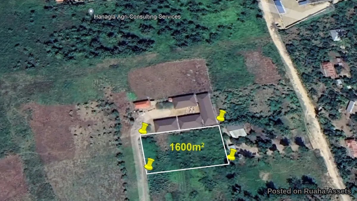Prime Plot for Sale at Mabwepande image 2
