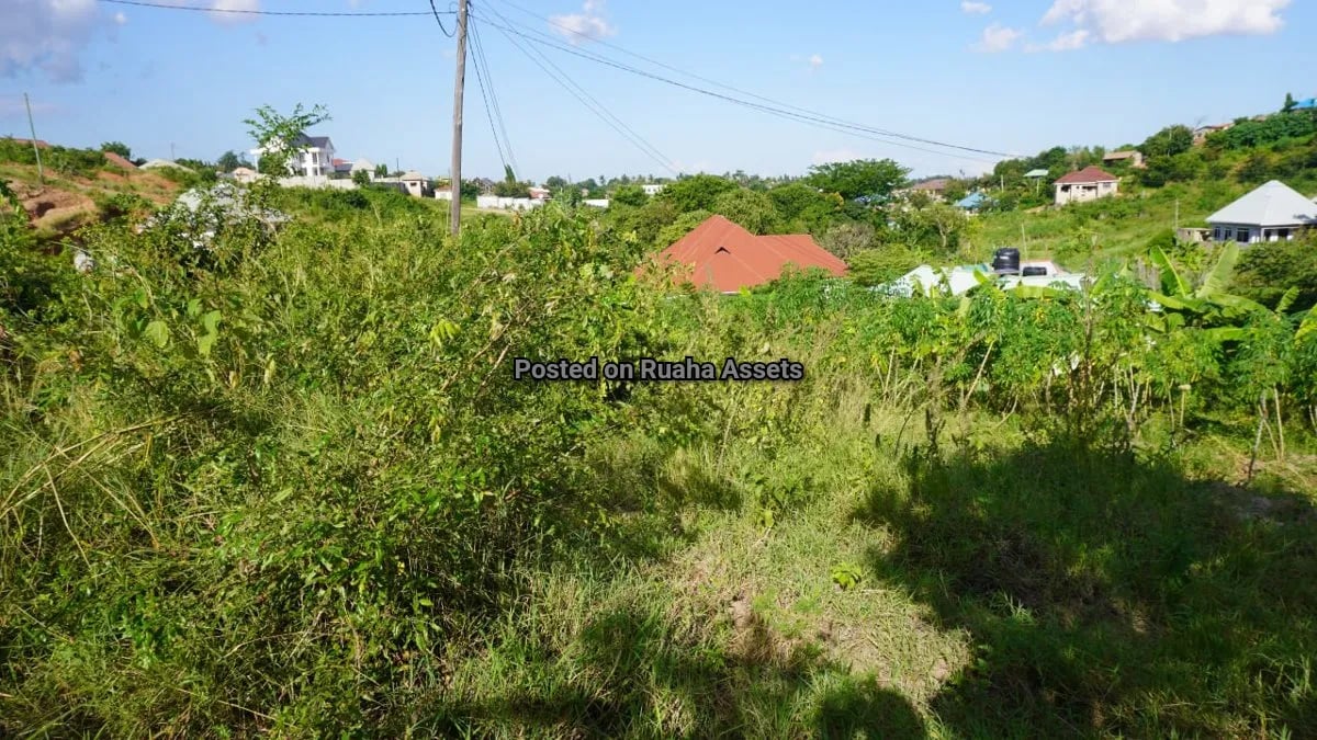 Unfinished flat for sale at Mkuwa image 2