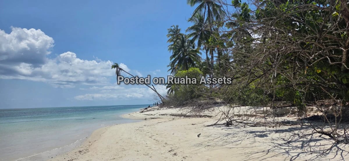 Beachfront plot image 4