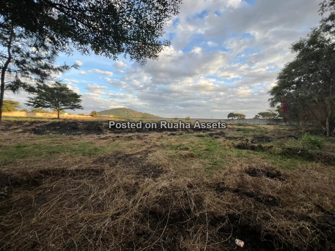 PRIME 3-ACRE INVESTMENT PROPERTY FOR SALE – KISONGO, ARUSHA image 1