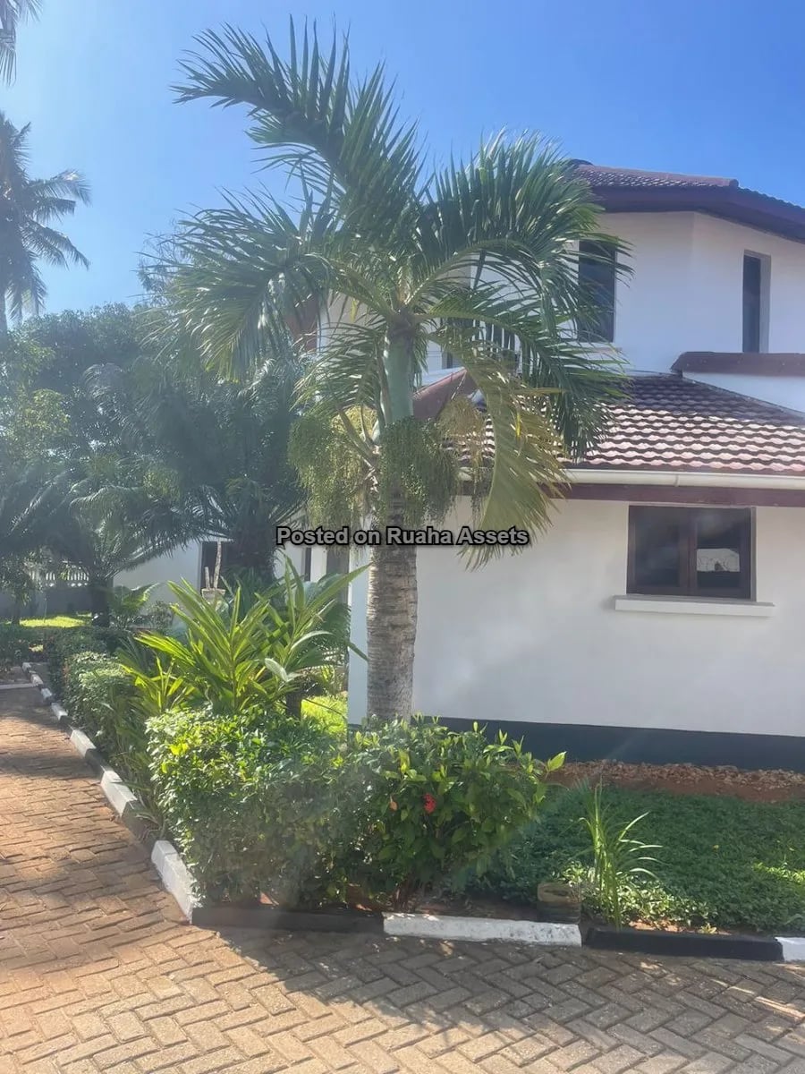 Single-Storey Stand Alone House for Rent image 1
