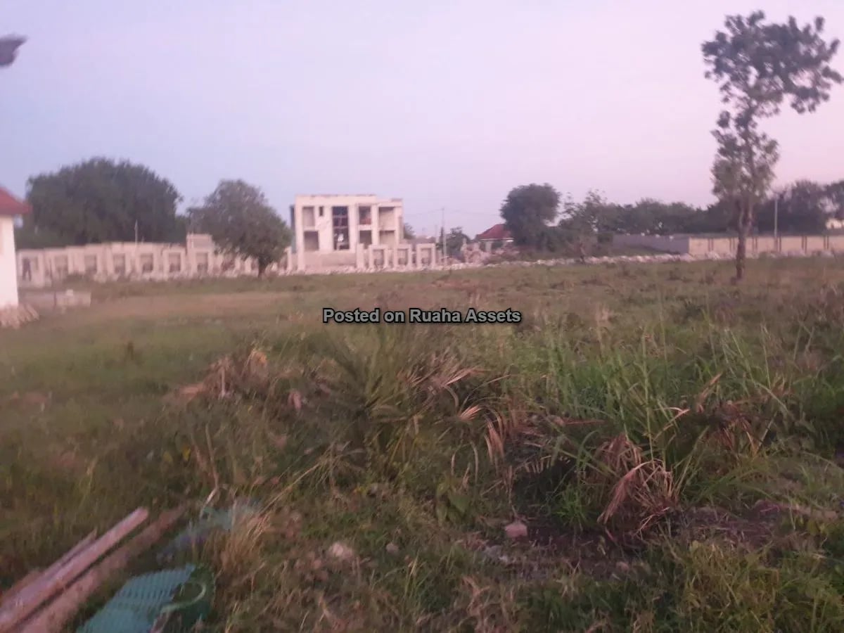 A Very Big Plot for Sale image 4