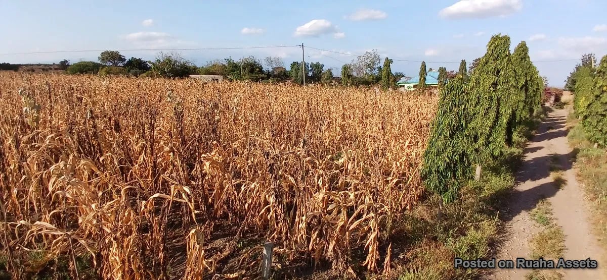 Big Plot near Kilimanjaro international Airport for sale image 4