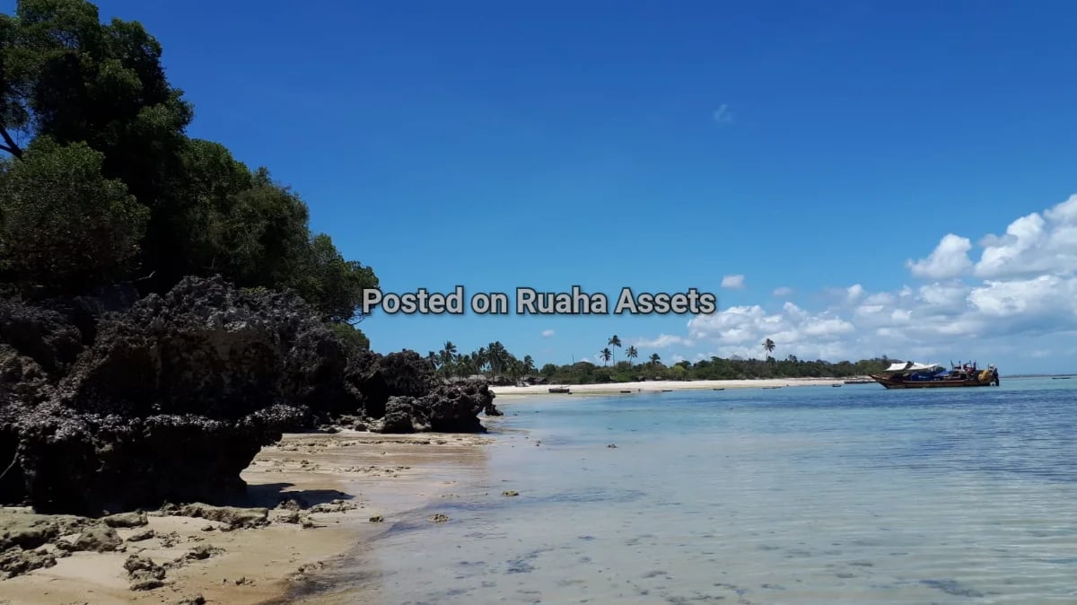 Beachfront plot image 5