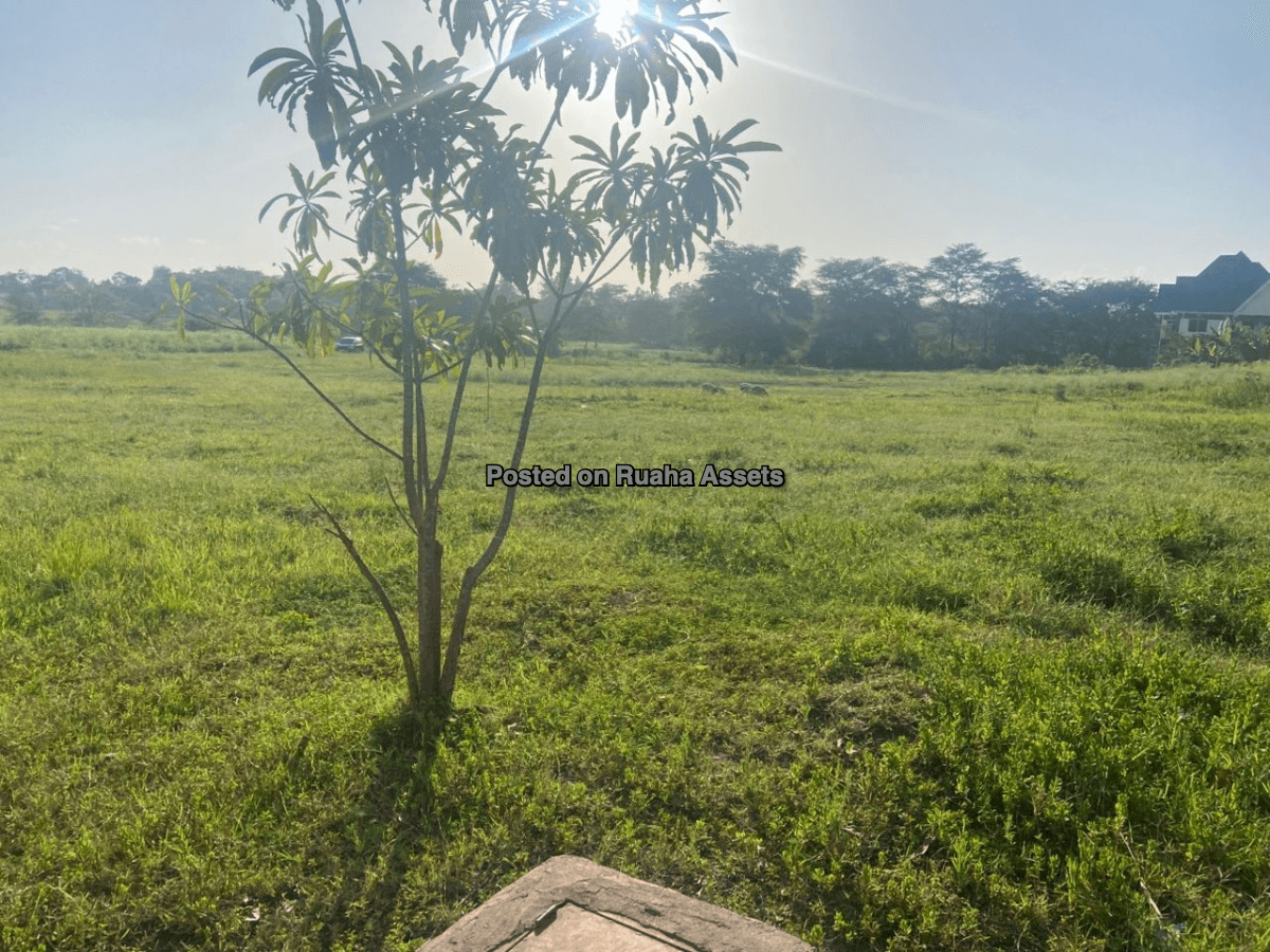 Shamba la Heka mbili, Nelson Mandela University Arusha image 9