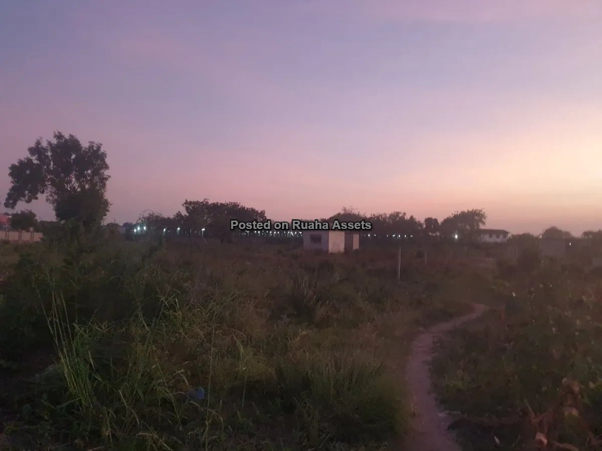 A Very Big Plot for Sale image 5