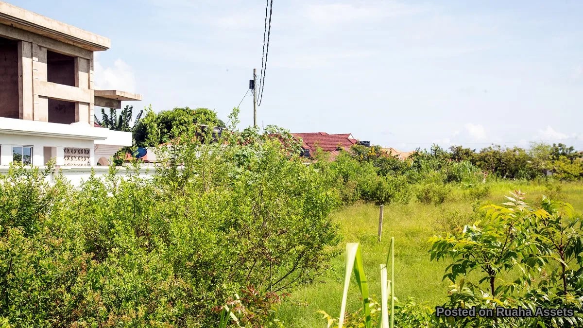 Prime Plots in Mbweni Malindi image 6