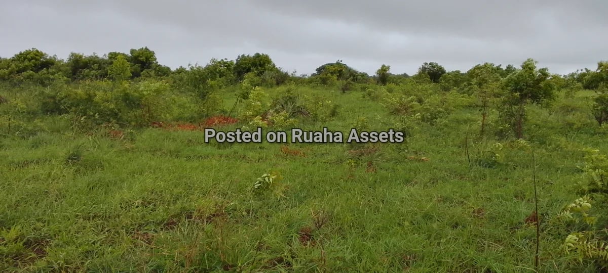 Investment land near beach mbutu kigamboni image 3
