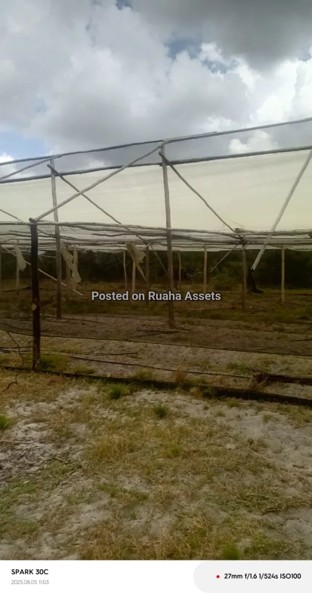 Shamba heka 120 linauzwa Kimbili Mkuranga image 6