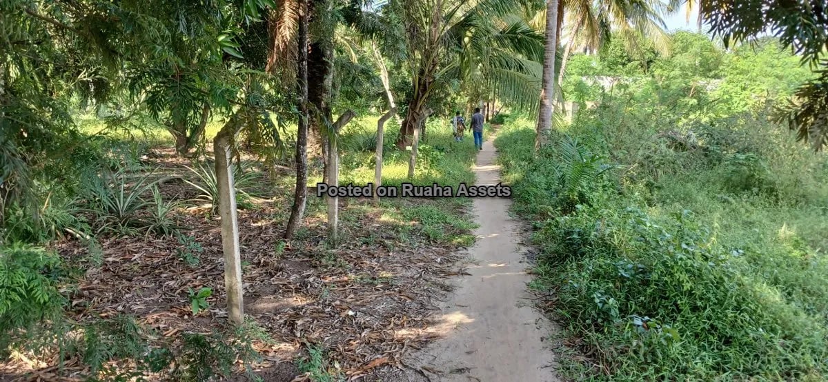 7 Acres of Mixed plots for Sale at Mvuti, Dar es Salaam image 11
