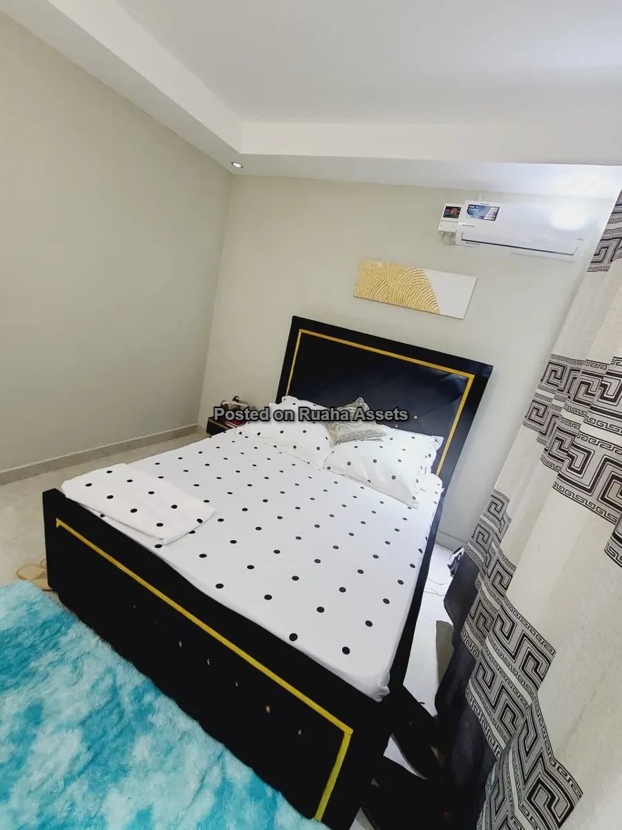 Furnished Apartment for rent at Mikocheni image 6