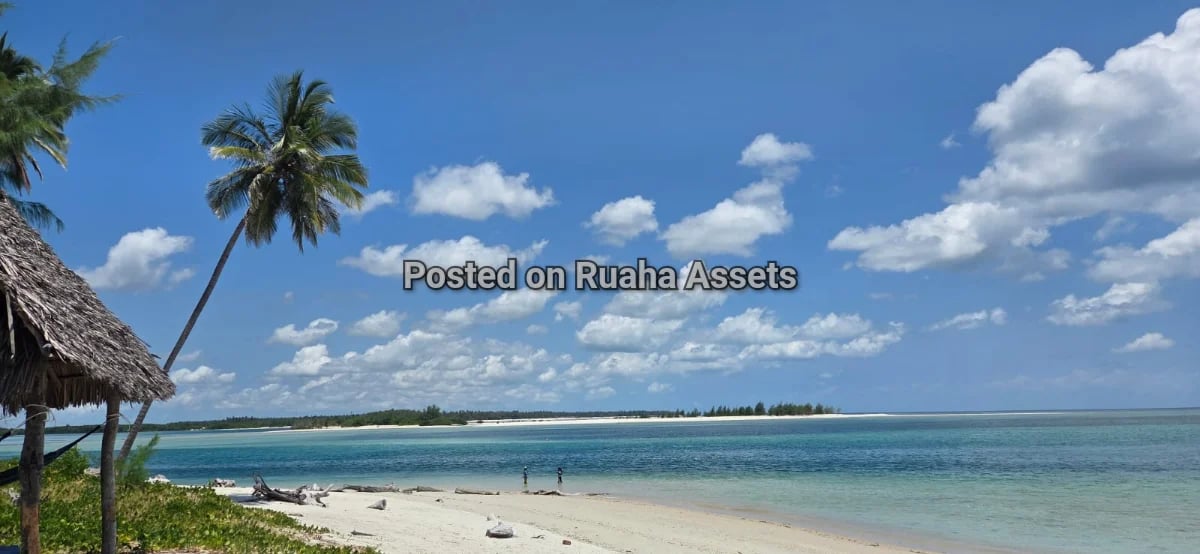 Beachfront plot image 3