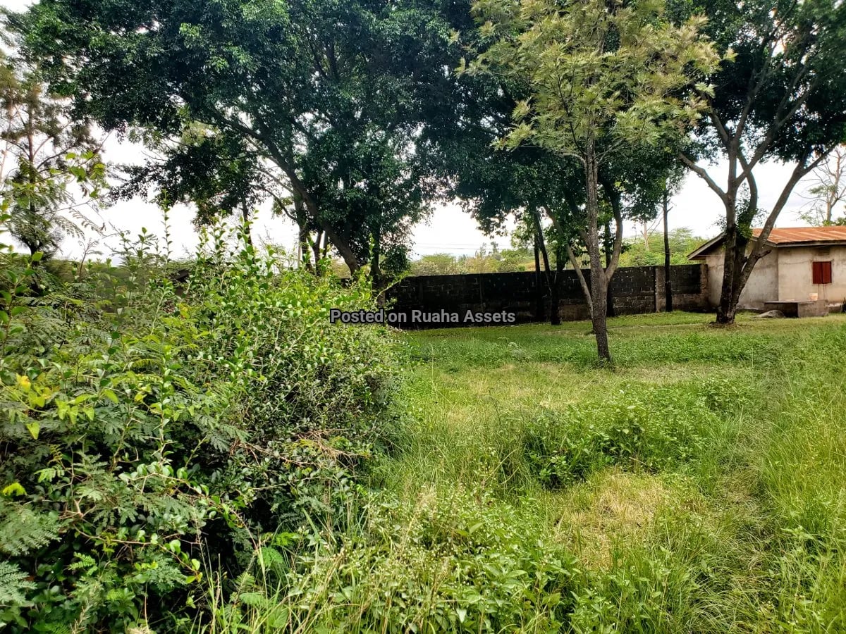 Flat on 1 acre plot for Sale at Majengo, Arusha image 2