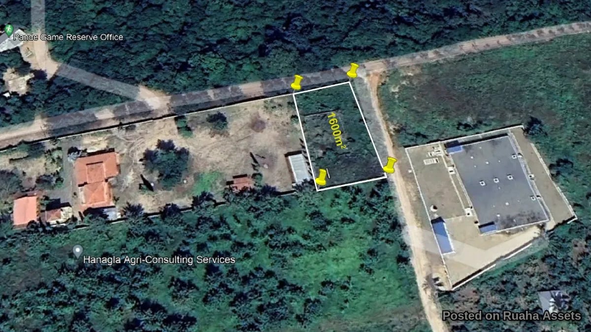 Fenced Plot for Sale at Mabwepande image 5