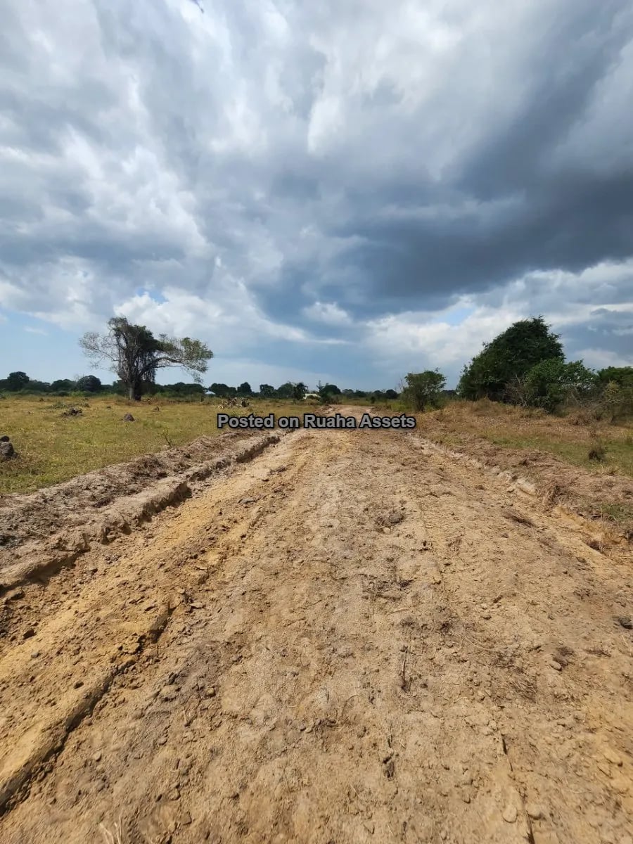 SURVEYED PLOTS FOR SALE AT BAGAMOYO – MAKURUNGE image 4