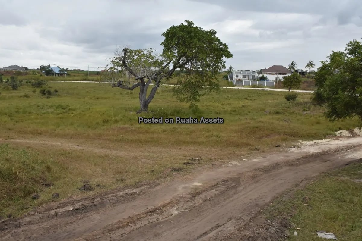 Viwanja Vikubwa Vinauzwa Mabwepande image 5