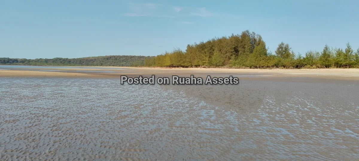 Beach plot at Pangani Mjini image 4