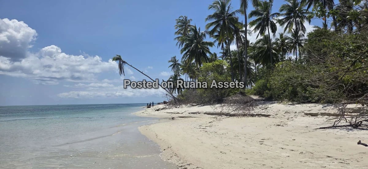 Beachfront plot image 2