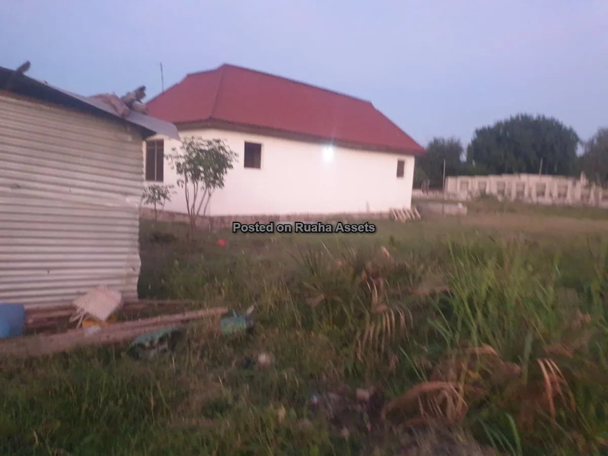 A Very Big Plot for Sale image 3