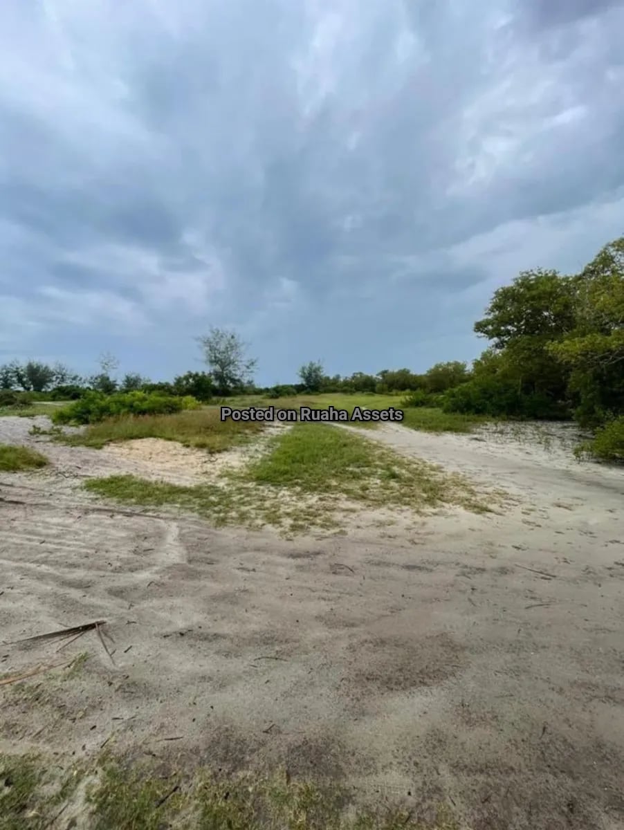 Beach Plot for Sale at Mapinga, Dar es Salaam image 4