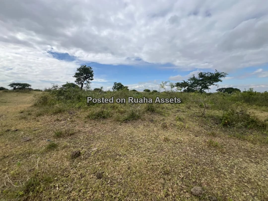58 ACRES OF FARMLAND IS AVAILABLE FOR SALE Price is 17 million T-shillings per acre image 4