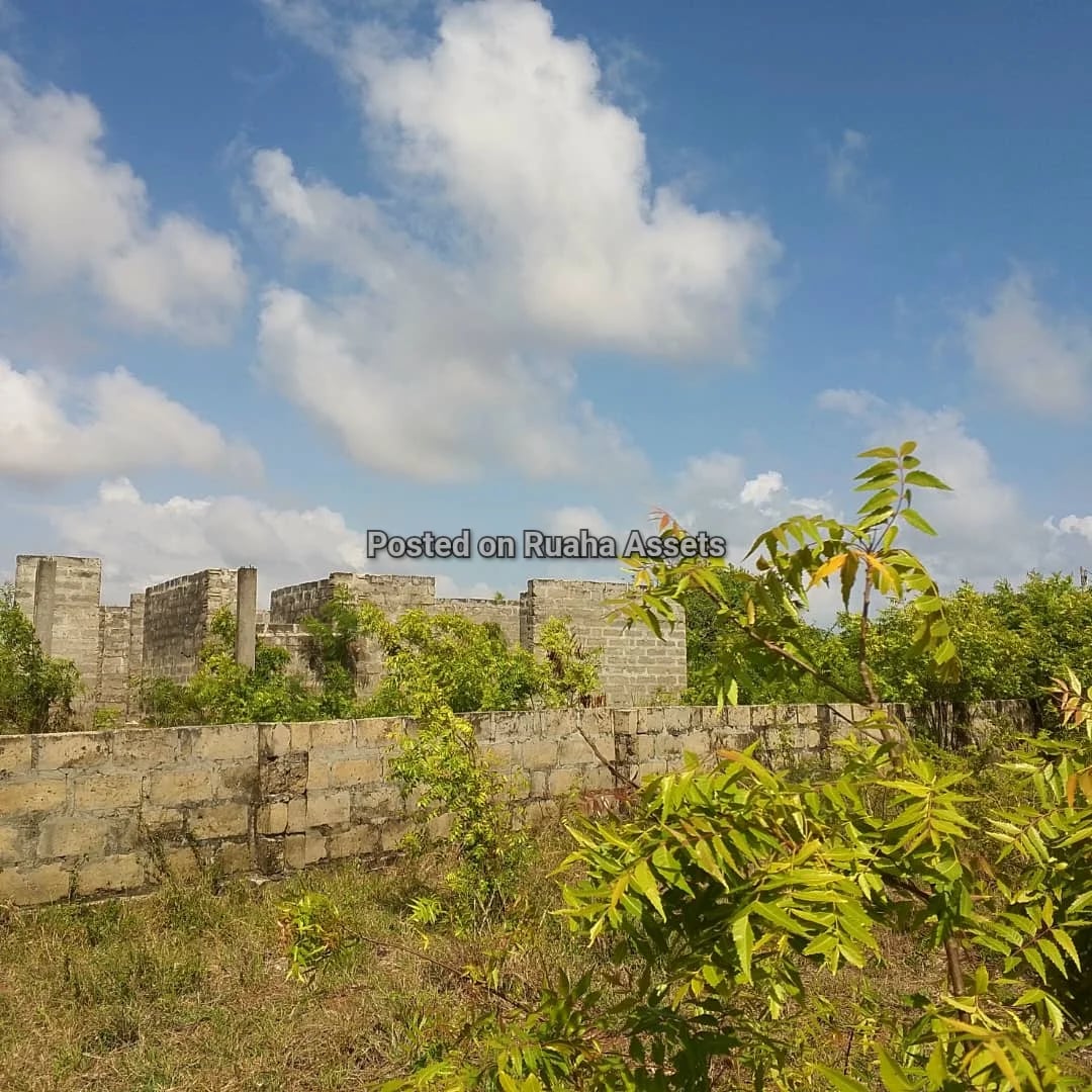 Beach House at Mbutu Beach image 2