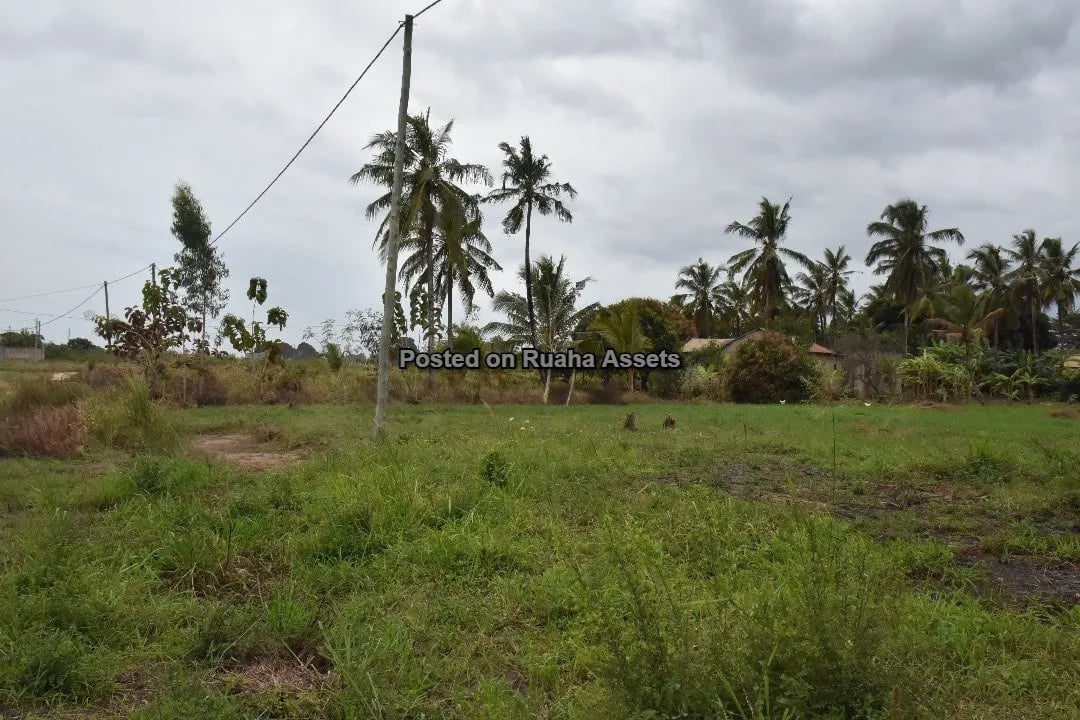 Kiwanja Kikubwa Kinauzwa Mabwepande image 7