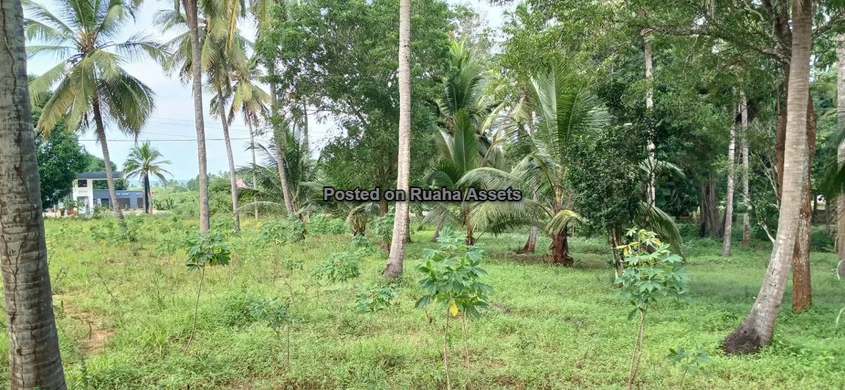 7 Acres of Mixed plots for Sale at Mvuti, Dar es Salaam image 4